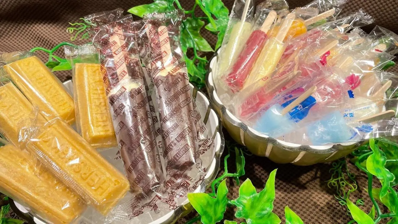 Hotell Dormy Inn Tomakomai